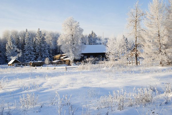 Морозный день в деревне