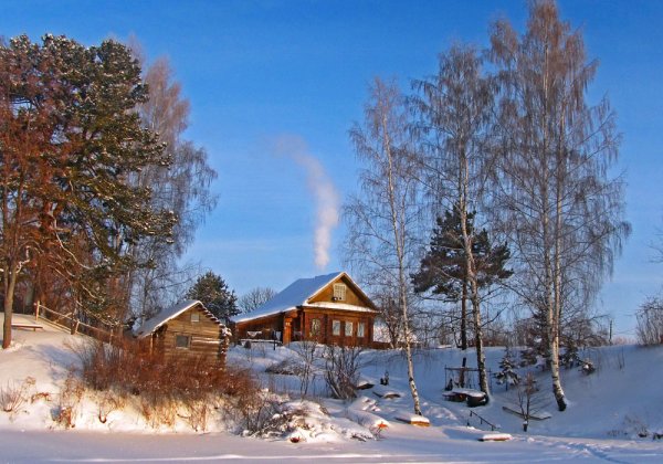 Зимний лес в деревне