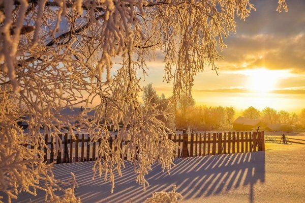 Морозное утро в деревне