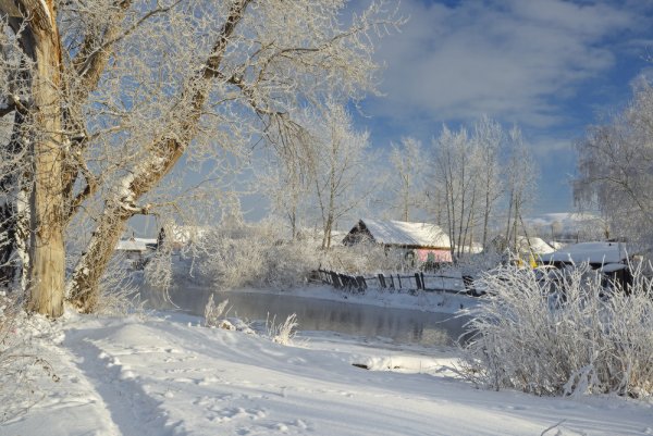 Солнечный зимний день в деревне
