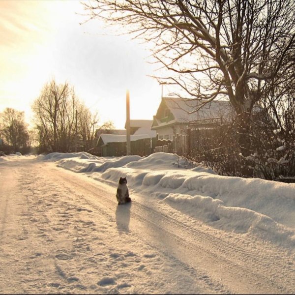 Советская деревня зимой
