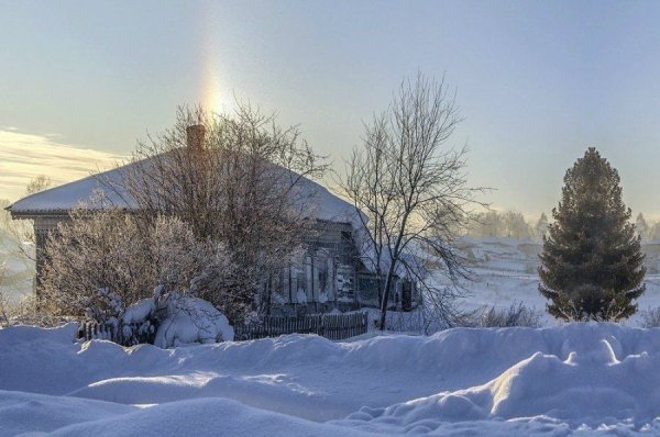 Зимние деревья в деревне