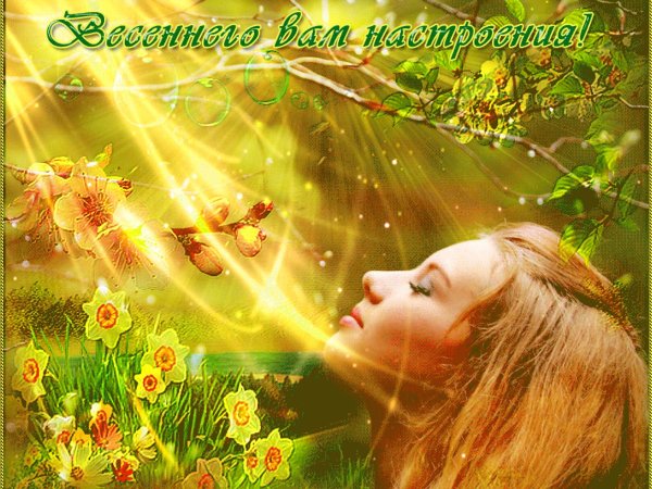 Цитаты про солнце