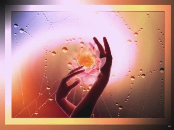 Солнце счастье радость