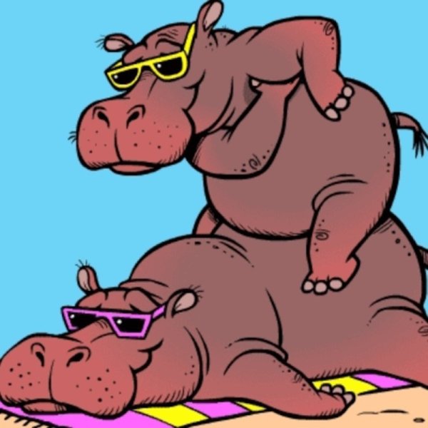 Мадагаскарский карликовый Бегемот