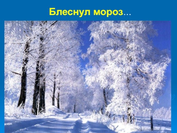 Морози слонце день чужеснц