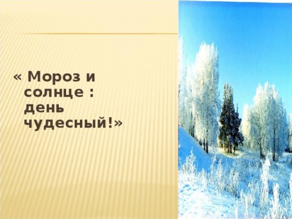 Мороз и солнце день чудесный стихотворение