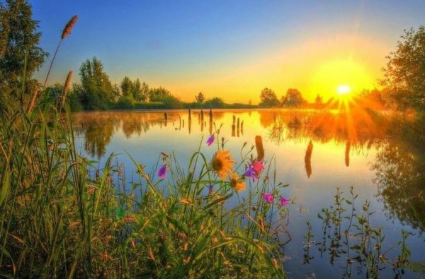 Дивная природа