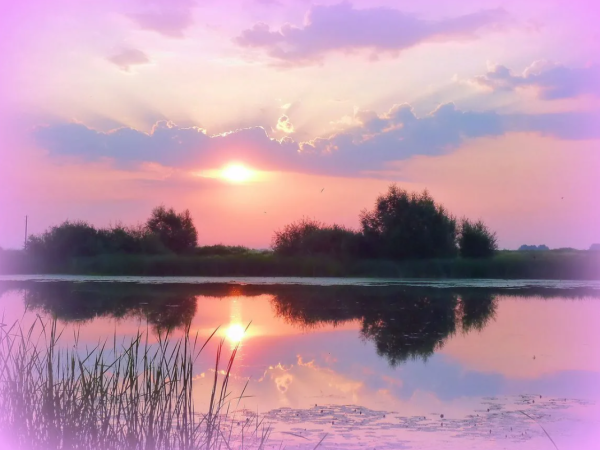 Счастье природа рассвет