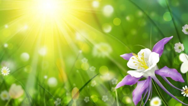 Счастье это состояние души