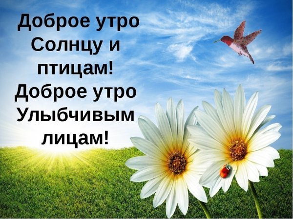Доброе солнечное утро