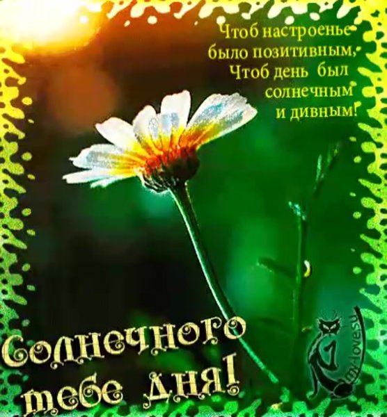 Пожелание хорошего солнечного дня