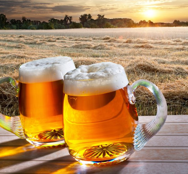Стакан пива на природе