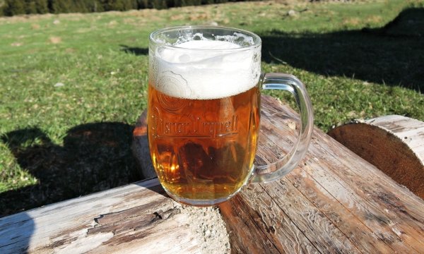 Бокал пива на природе