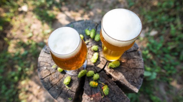 Крафтовое пиво природа