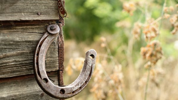 Подкова из дерева