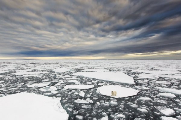 Красивое зимнее море