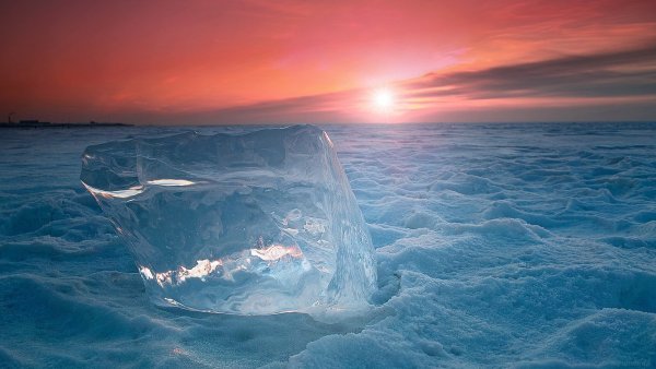 Арктика ледники и белые медведи