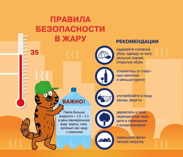 Профилактика теплого и солнечного ударов