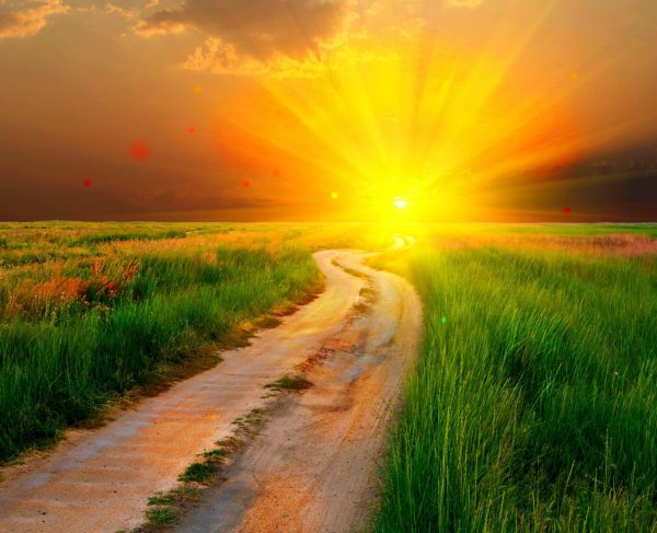 Светлая дорога