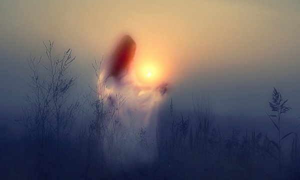 Свет пробивается сквозь тьму