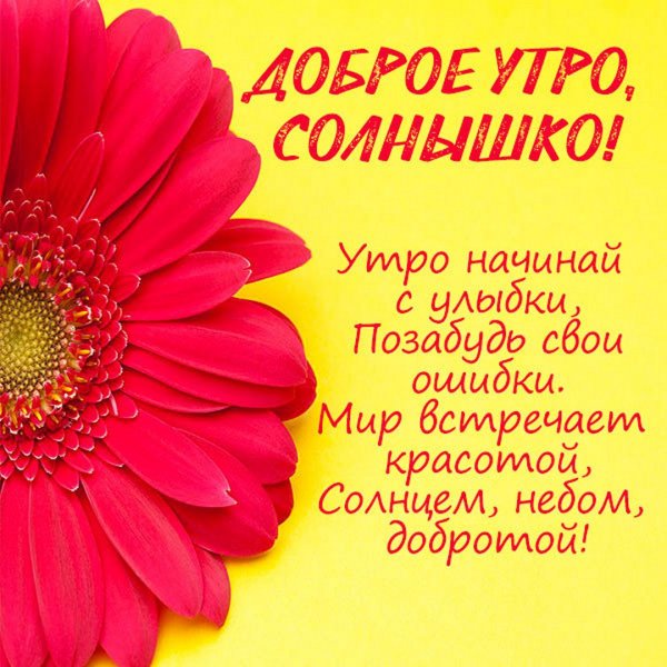 Доброе утро солнышко