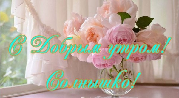 Доброе утро солнышко