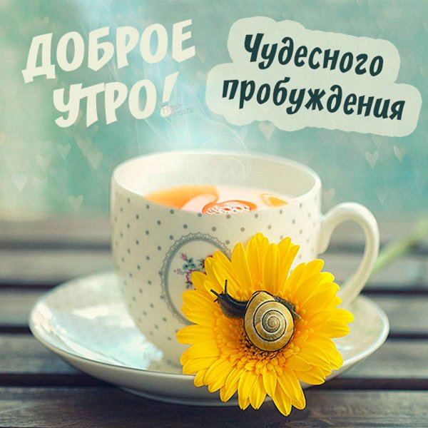 Солнышко с добрым утром дорогой