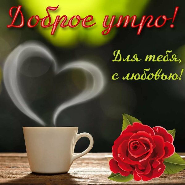 Доброе утро солнышко