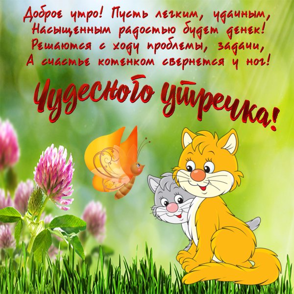 Доброе утро солнышко моё