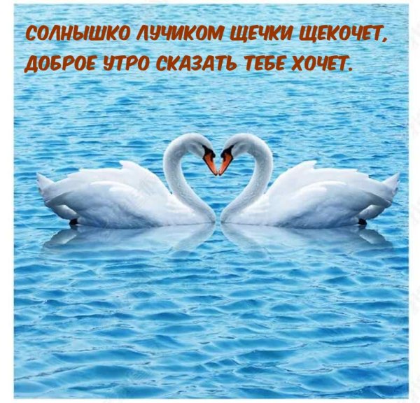Доброе утро солнечного дня