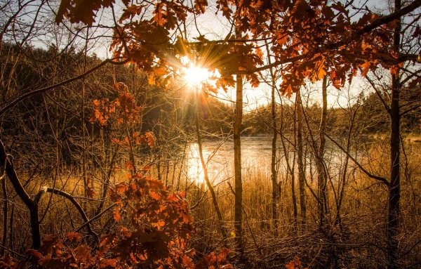 Солнечная поздняя осень
