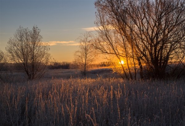 Солнечная поздняя осень