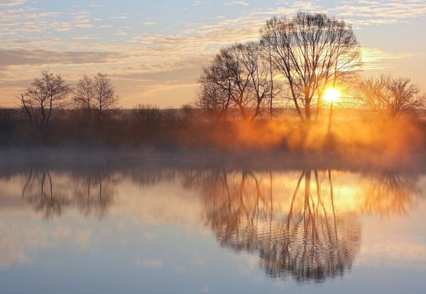 Поздняя осень солнце