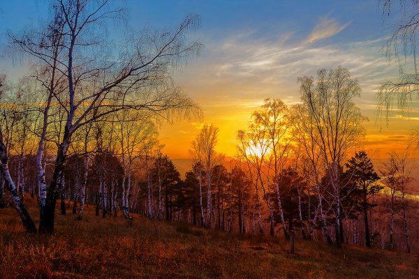 Поздняя осень закат