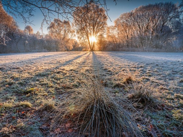 Утро поздняя осень