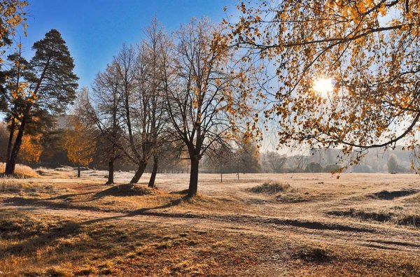 Солнечная поздняя осень