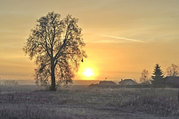 Утро поздняя осень деревня