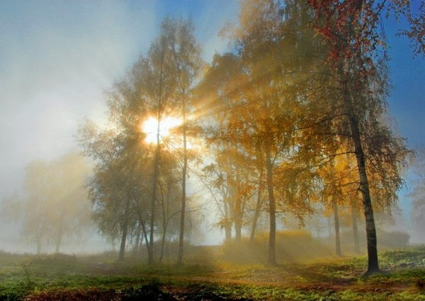 Утреннее осеннее солнце