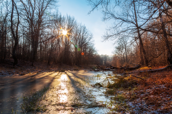 Солнечная поздняя осень