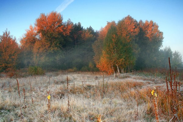 Рассвет поздняя осень