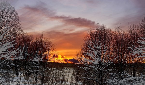 Осенний туман