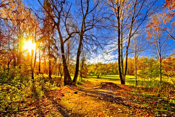 Солнечная поздняя осень