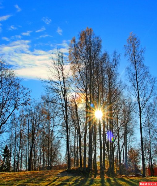 Ветер в осеннем лесу