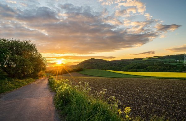 Дорога поле солнце
