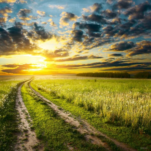Природа дорога солнце