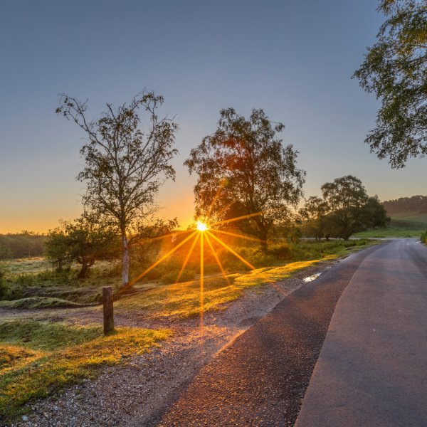 Солнечная дорога