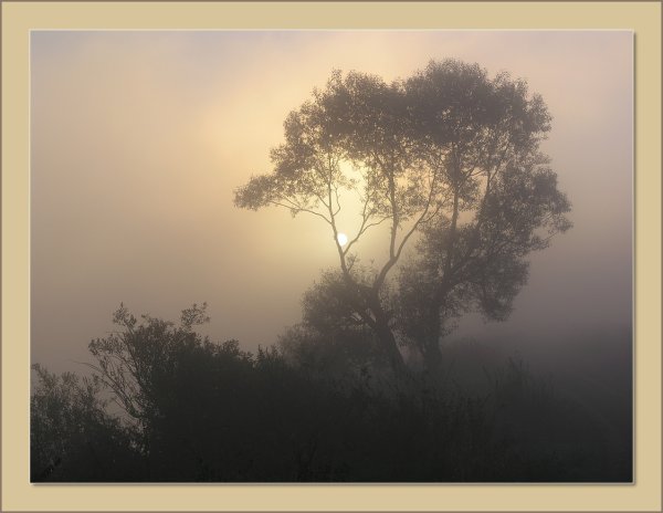 Солнце русской поэзии