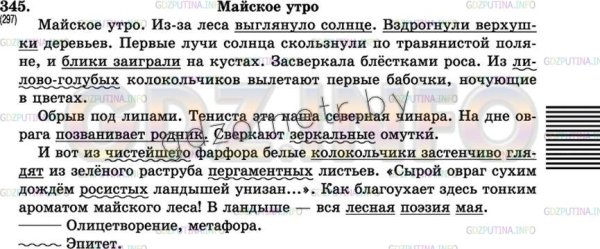 Майское утро из-за леса выглянуло