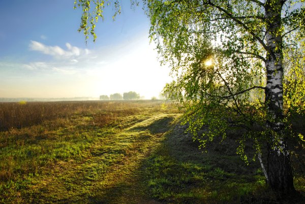 Солнечного майского утра